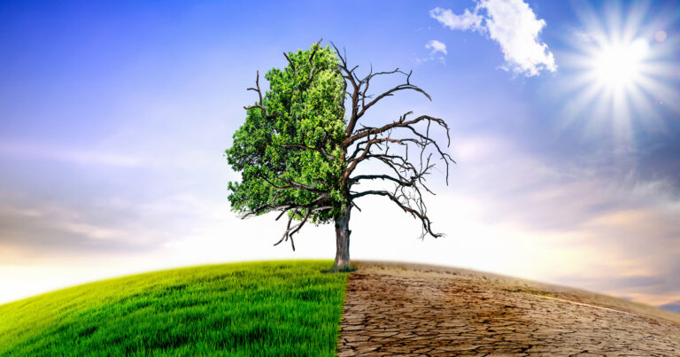 Climate change withered tree and dry earth