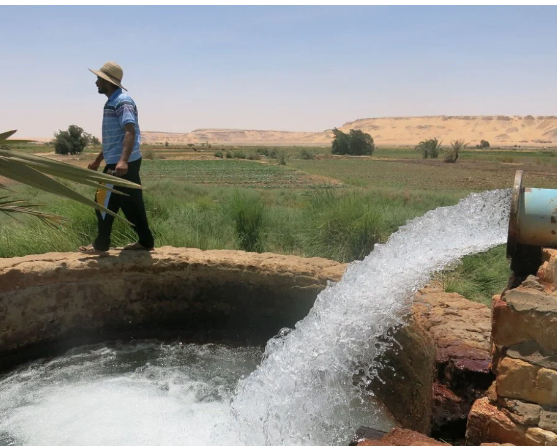 Agriculture résiliente et durable : Les actions qui irriguent la stratégie OCP 1 Capture decran 2025 04 23 a 17.27.30
