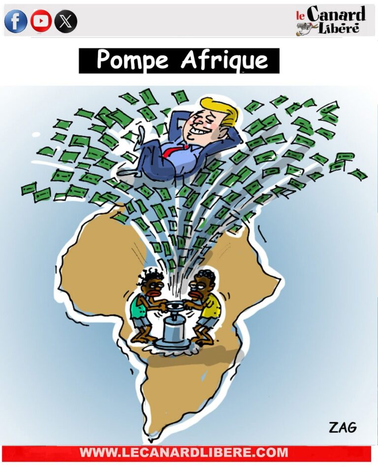 Afrique f