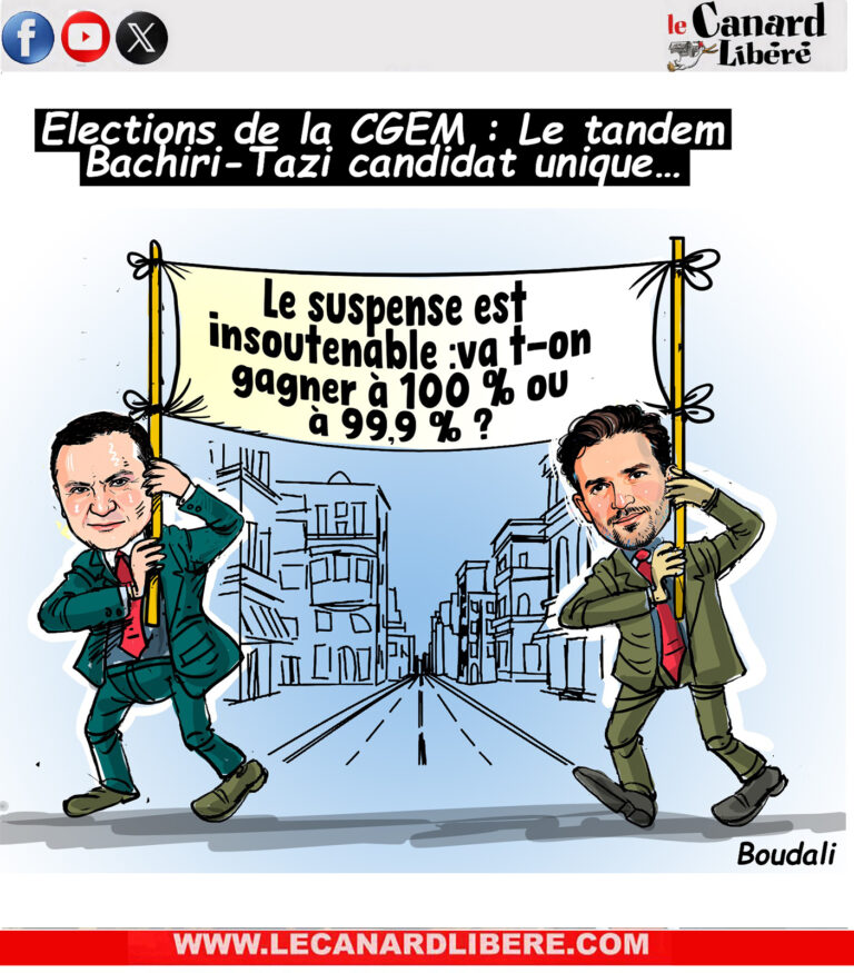 C CGEM